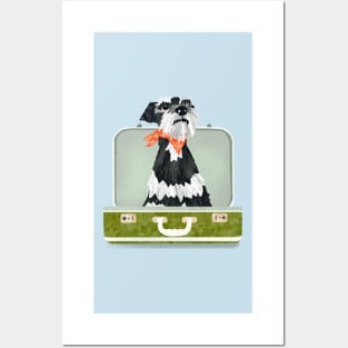 Miniature Schnauzer Dog sitting in an empty vintage  suitcase Posters and Art